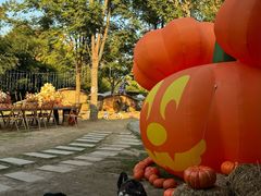 -HERRE·FARM 赫尔露营农场·团建聚会包场