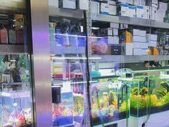 -花鸟鱼虫鲜花绿植市场(玉泉路店)
