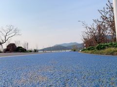 -香雪海