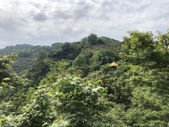 -莫干山风景区