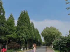 -太阳岛度假酒店