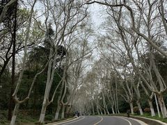 -王红军龙虾(新民路店)