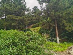 -鹦鹉寺公园