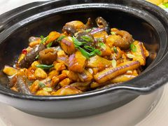 -伯衡55·吉品轩(乌鲁木齐南路店)