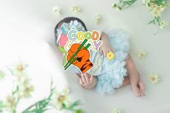 -象北鼻儿童摄影(西源集店)