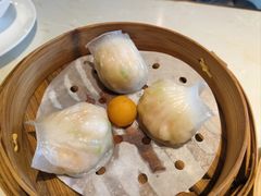 -点都德·毕德寮