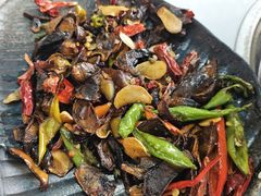 -蘑统田下·野生菌火锅