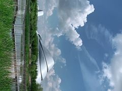 -哈尔滨大剧院