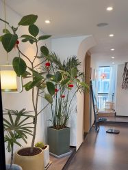 -吾之瑜生瑜伽普拉提学院