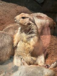 -Zoolung Zoolung动物主题公园(海信广场店)