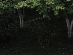 -龙头寺公园
