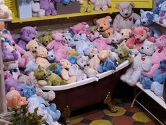 -济州岛泰迪熊博物馆