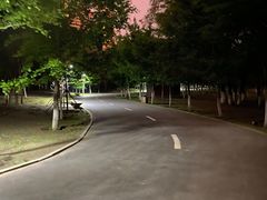 -长白岛森林公园