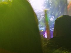 -梦之蓝青奥体育公园体育馆