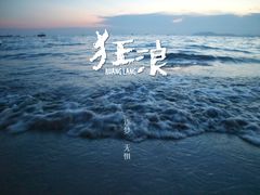 -广东惠东海龟国家级自然保护区