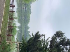 -北坞公园