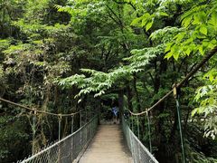 -西岭雪山大飞水景区