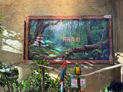 -杭州开元森泊度假乐园