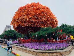 -沈阳方特欢乐世界