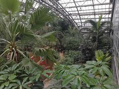 -南山植物园