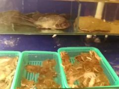 -船歌·鱼水饺青岛菜(金狮广场店)