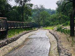 -白水寺森林公园