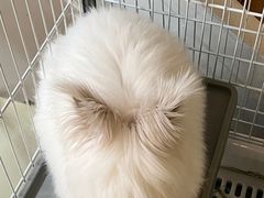 -小意思咖啡店(草桥店)