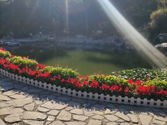 -苏格酒吧(东二环店)