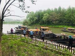 -溱湖国家湿地公园