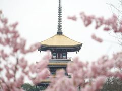 -武汉华美达光谷大酒店