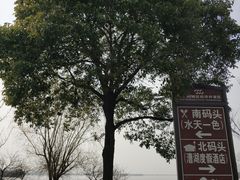 -漕湖湿地公园