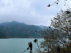 -羚羊峡古栈道森林公园