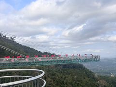 -呀诺达热带雨林