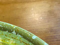 -四方面荘(常丰花园店)