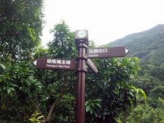 -银瓶嘴森林公园