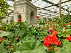 -南宫五洲植物乐园