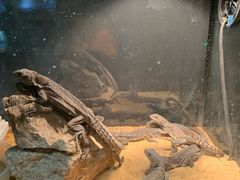 -北戴河圣蓝海洋公园