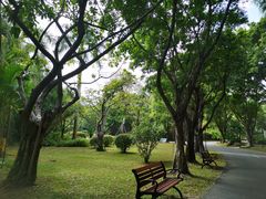 -深圳国际园林花卉博览园