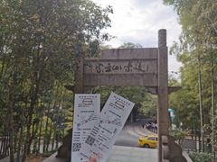 -紫金山山顶公园
