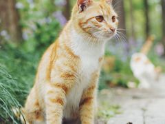 -苏州河梦清园环保主题公园