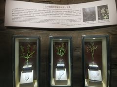 -辽宁古生物博物馆