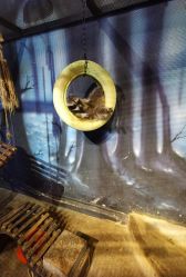 -酷嗒动物文化乐园(cutezoo西溪乐天城店)