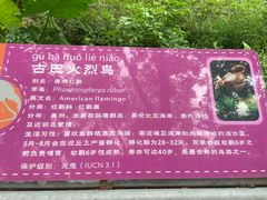 -深圳野生动物园