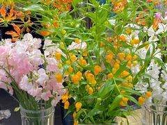 -双季花艺园艺市场(浦东店)