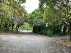 -胜华驾校·小猫学车(银都店)