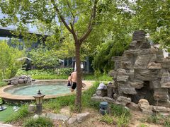 -中家鑫园温泉酒店鑫悦汤泉