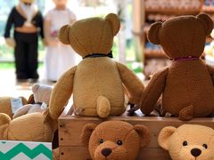 -济州岛泰迪熊博物馆