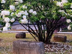 -明故宫遗址公园