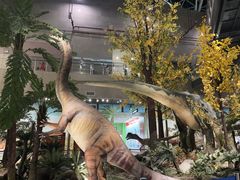 -湖南省地质博物馆