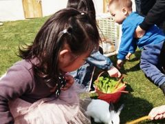 -前小桔亲子创意农场·草莓采摘·露营烧烤